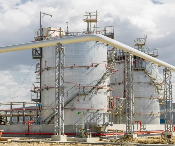 WhatsApp Image 2025-12-27 15.55.52